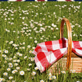 Proper_Picnic_Hamper